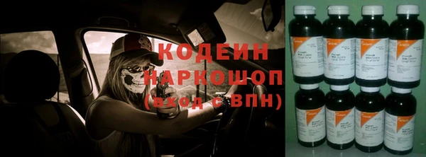 гашик Инсар