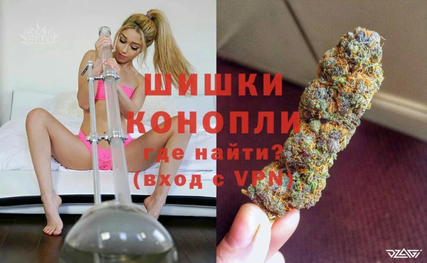 гидропоника Иннополис