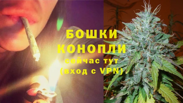 гидропоника Иннополис