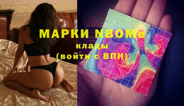 гашик Инсар