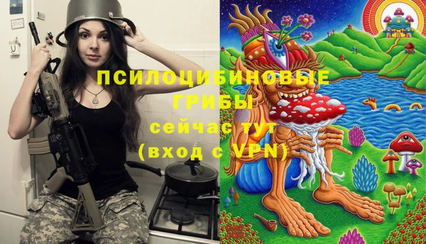 гашик Инсар