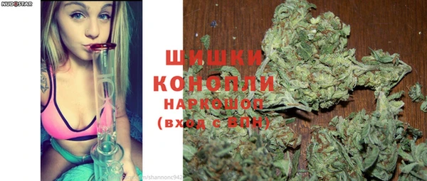 гашик Инсар