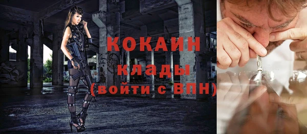 гашик Инсар