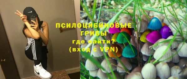 гашик Инсар