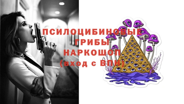 кокс Инта