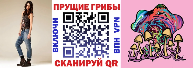 Купить  Сковородино  Галлюциногенные грибы Psilocybe 